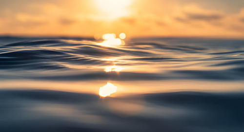 Il Mediterraneo scotta: cos� il nostro mare si sta trasformando in un tropico